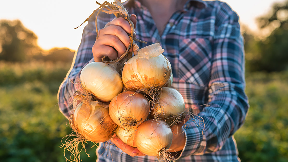 Unusual Food Preservation Ideas Worth Trying