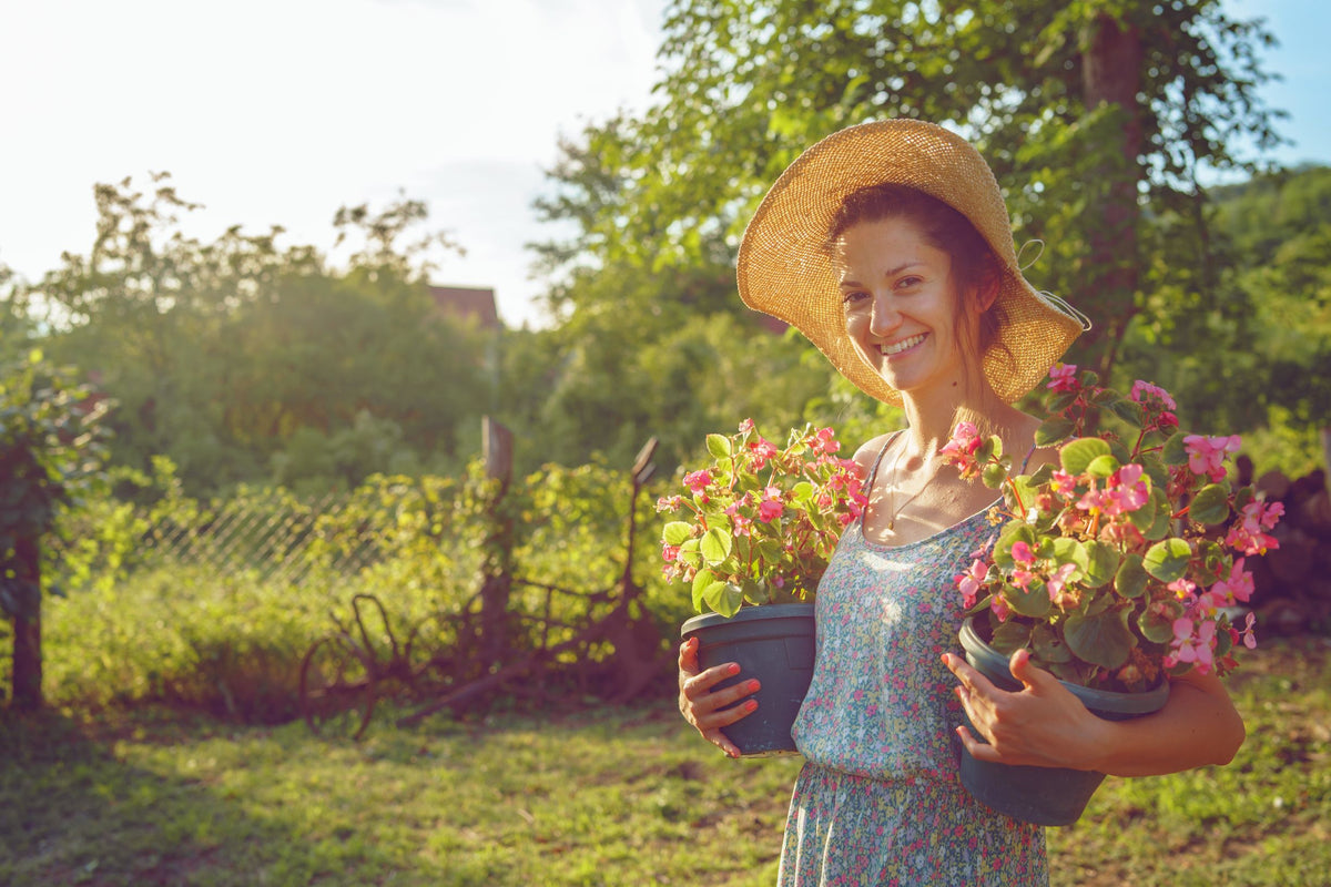 Rediscovering Traditions: How Sustainable Living is a Trend, Again