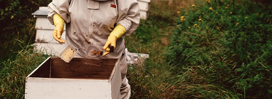 Beekeeping Supplies
