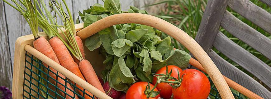 Garden Accessories