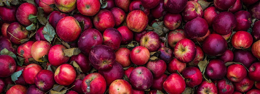 Fruit Presses