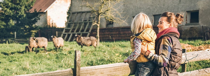 Homesteading