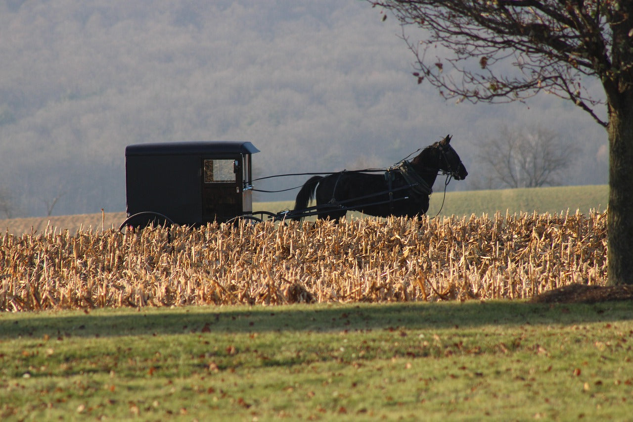 Amish Made