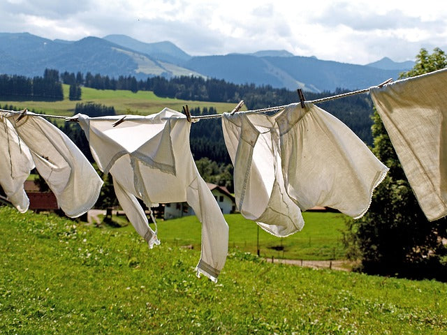 Clothesline and Clothesline Accessories