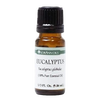 Small amber glass bottle of eucalyptus pure essential oil with black cap, suitable for aromatherapy, soapmaking, and crafted health remedies collections.