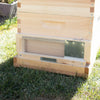 Handcrafted Amish-made 10-frame robbing screen with metal latch and mesh panel installed on a wooden hive bottom board, part of Farm, Garden & Tool and Beekeeping Supplies collections.