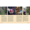 Two-page spread from the Big Book of Cidermaking featuring orchard scenes, apples, cider barrels, and a detailed interview with Blair Smith of Apple on Outlaw Cidery, ideal for Toys, Books & Games, Books, Home and Garden How-To Books, Best Sellers, and Promo Eligible collections.