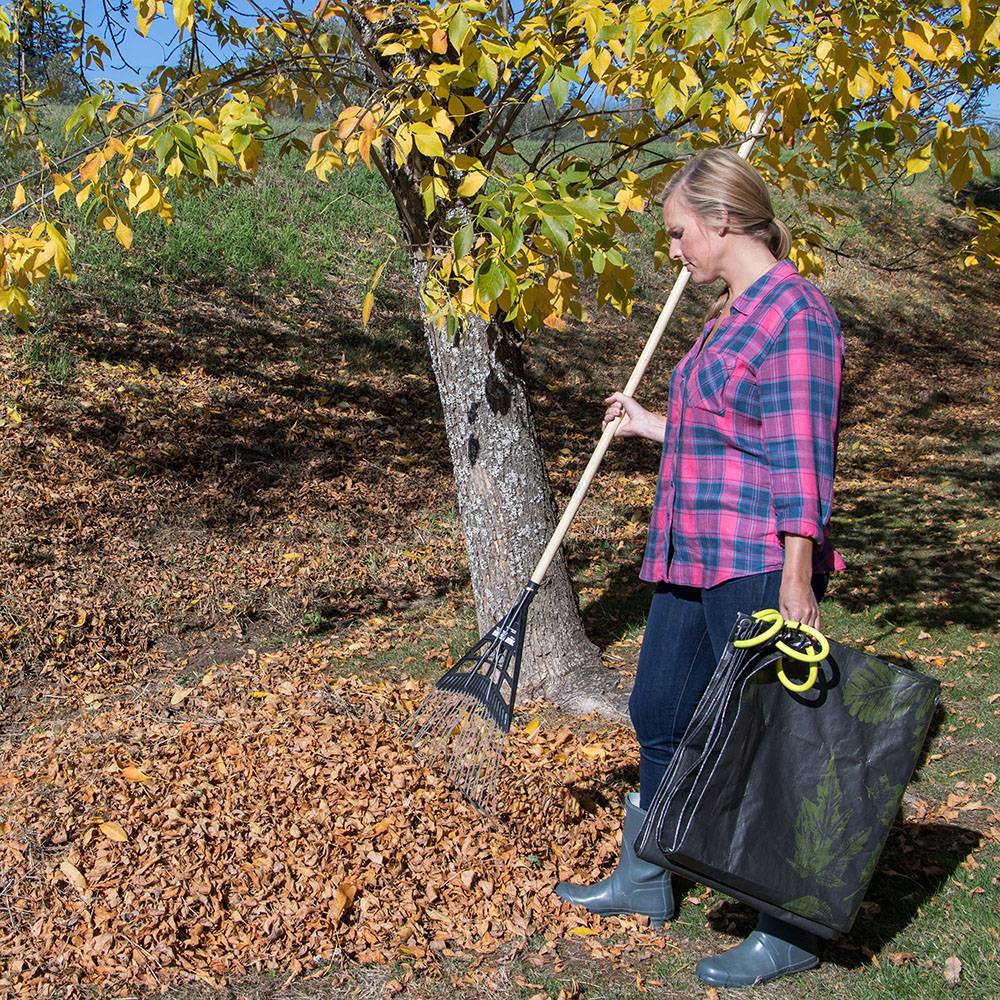 Person using a rake to gather fallen leaves next to a tree, holding a black woven polyethylene Clean Up Canvas with reinforced yellow soft grip handles, ideal for Farm, Garden & Tool and Lawncare collections.