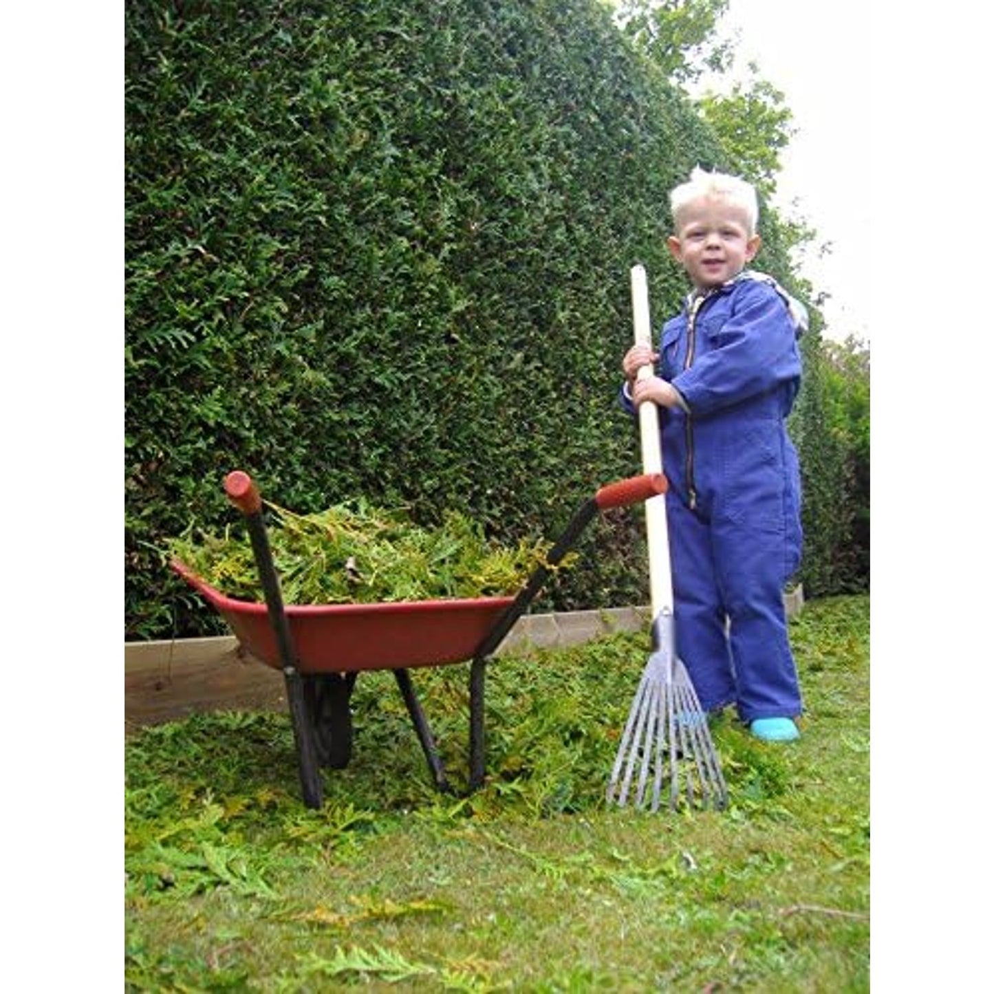 Child in blue coveralls using a small garden rake near a red wheelbarrow filled with green garden clippings, set against a neatly trimmed hedge in a lawncare and garden accessories setting.
