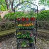 Compact greenhouse with four wire grid shelves holding various potted plants and flowers, ideal for small spaces and promoting air circulation, featured in Farm, Garden & Tool and Garden Accessories collections.
