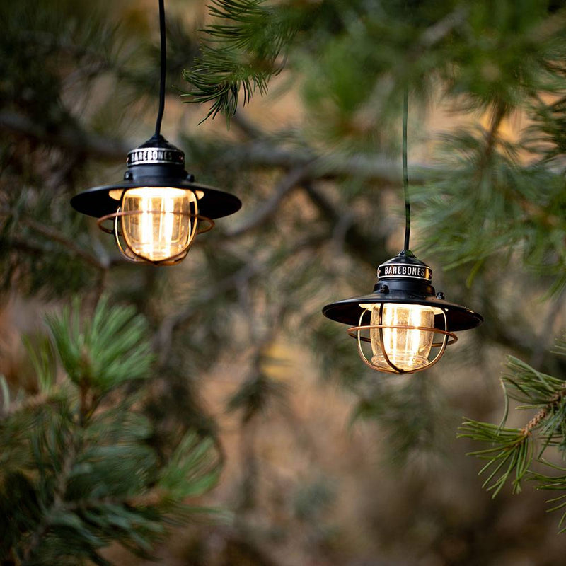 Two glowing Edison-style pendant lights with protective metal cages and wide black shades hanging from tree branches, perfect for outdoor garden and lighting decor collections.