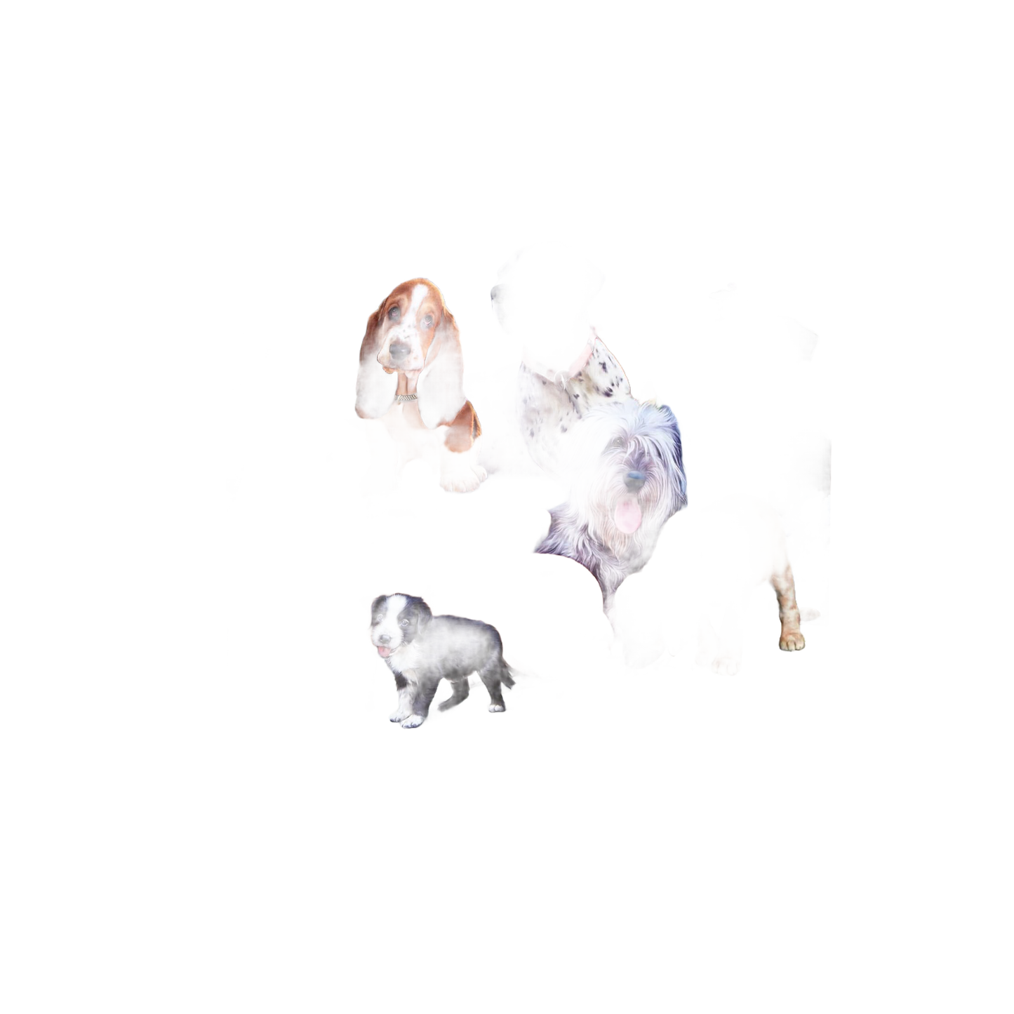 Illustration of a variety of playful dogs in a colorful, hand-drawn style, perfect for engaging indoor puzzle fun in the USA Made Toys, Books & Games collection.