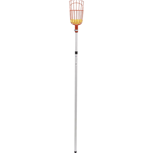 Enameled steel fruit picker basket with padded base attached to an adjustable telescoping aluminum pole, ideal for safe harvest in Farm, Garden & Tool, Apple Harvest Supplies, and Best Sellers collections.