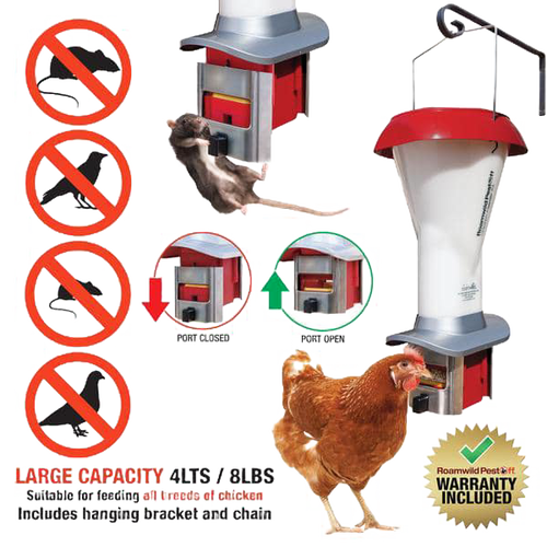 Vermin-proof chicken feeder with weight-activated door blocking pests like rats and large birds, large 8 lbs capacity, weatherproof design, includes hanging bracket and chain, ideal for Farm, Garden & Tool and Animal Care collections.