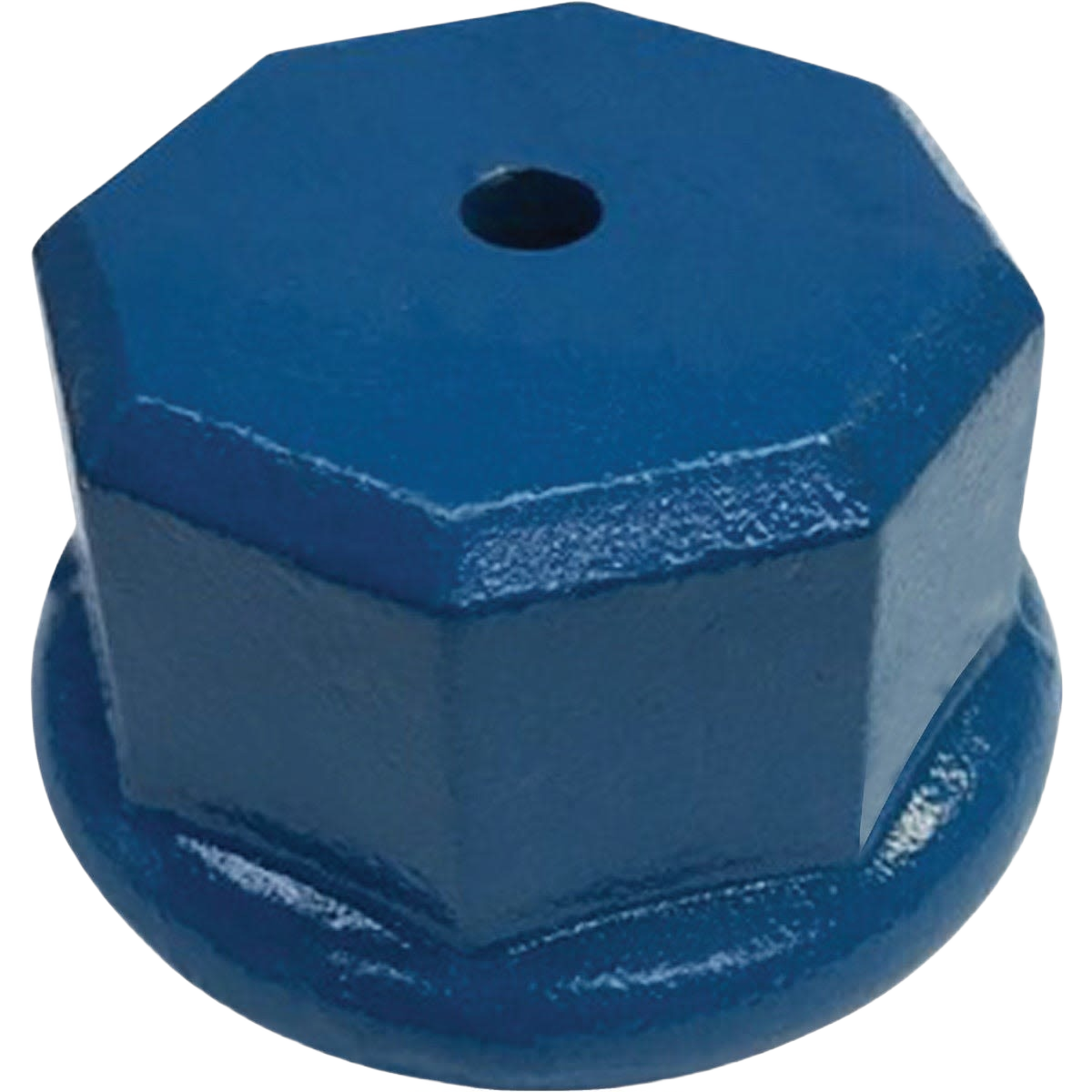 Blue octagonal metal drive cap with central hole, designed to cushion hammer blows for well points, featured in Appliances, Water Pumps, Pump Parts and Tools, Best Sellers, Promo Eligible collections.