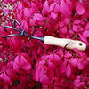 Handheld garden cultivator with smooth wooden handle and three black curved tines resting among vibrant magenta leaves, ideal for Farm, Garden & Tool and Digging and Cultivating collections.