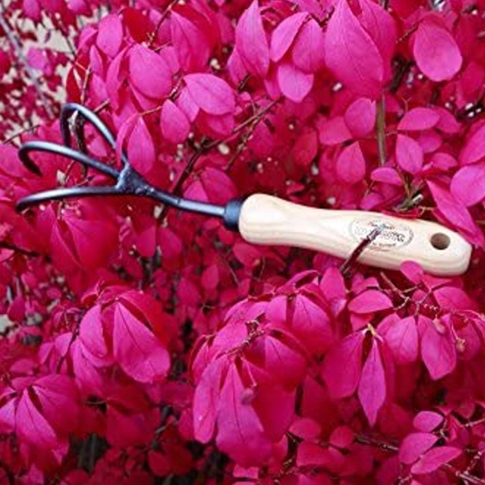 Handheld garden cultivator with smooth wooden handle and three black curved tines resting among vibrant magenta leaves, ideal for Farm, Garden & Tool and Digging and Cultivating collections.