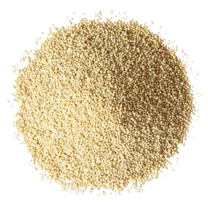 Close-up of a pile of small, round, light-colored whole amaranth grains, featured in Farm, Garden & Tool, Kitchen & Food, Food, Pantry, and Bread Making Supplies collections.