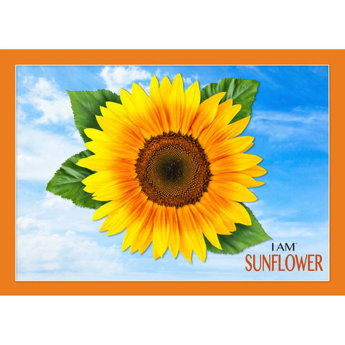Bright sunflower illustration with vibrant yellow petals and green leaves against a blue sky background, featured in Toys, Books & Games and Best Sellers collections.