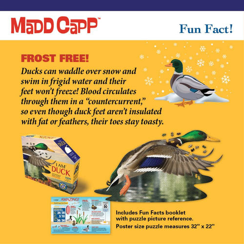 Informative puzzle packaging showing a flying mallard duck illustration, fun facts about duck feet frost resistance, and a booklet included with the 1000-piece shaped jigsaw puzzle, featured in Toys, Books & Games and Puzzles collections.