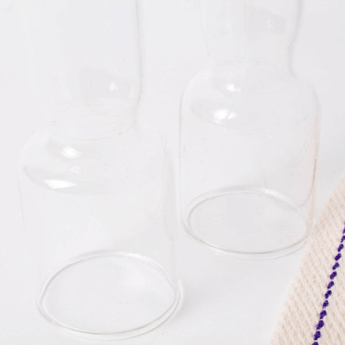 Two clear replacement oil lamp chimneys paired with two flat wicks, featured in Lamps & Lighting, Oil Lamps, Table Lamps, Best Sellers, and Promo Eligible collections.