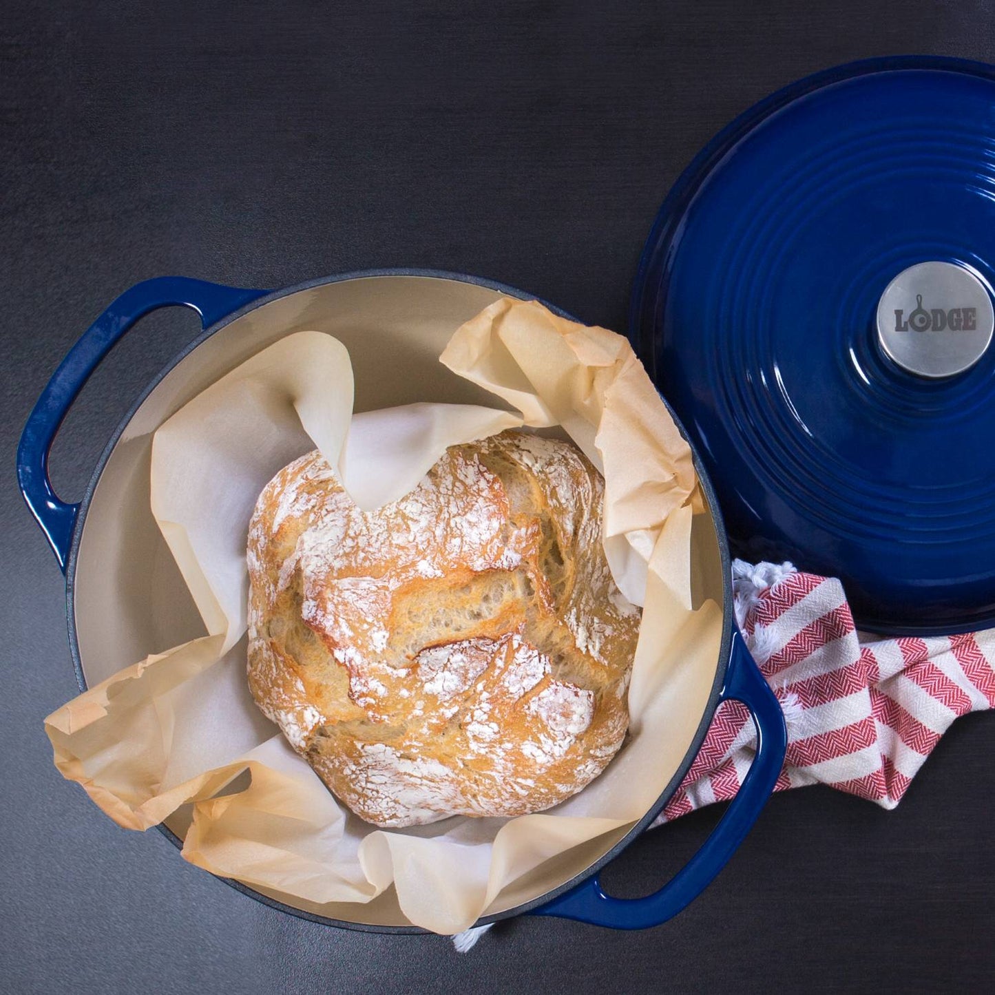 Lodge Enameled Cast Iron 6qt. Dutch Oven