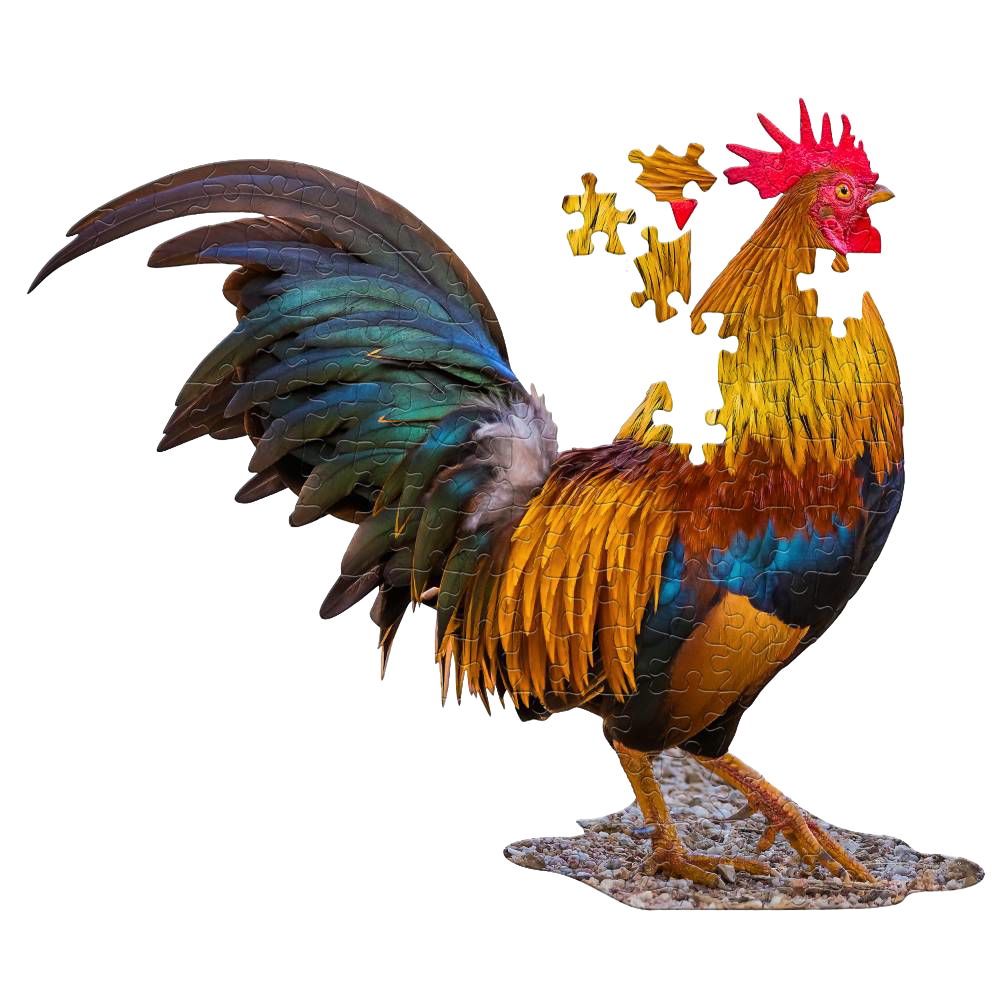 Colorful shaped jigsaw puzzle of a rooster with vibrant feathers and unique puzzle piece borders, part of children’s toys, games, and best sellers collections.