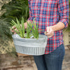 Rustic galvanized metal basin with wooden-grip handles, used as a planter for green herbs, ideal for Farm, Garden & Tool, Garden Accessories, Seeds and Planting, and Best Sellers collections.