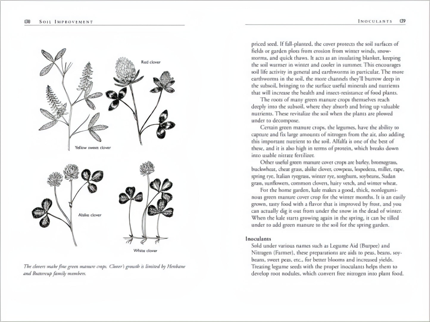 Open book spread displaying detailed botanical illustrations of different clover varieties accompanied by informative text on soil improvement and inoculants, part of Toys, Books & Games, Books, Home and Garden How-To Books, and Best Sellers collections.