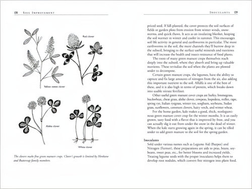 Open book spread displaying detailed botanical illustrations of different clover varieties accompanied by informative text on soil improvement and inoculants, part of Toys, Books & Games, Books, Home and Garden How-To Books, and Best Sellers collections.