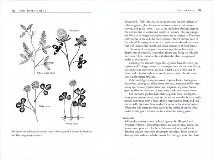 Open book spread displaying detailed botanical illustrations of different clover varieties accompanied by informative text on soil improvement and inoculants, part of Toys, Books & Games, Books, Home and Garden How-To Books, and Best Sellers collections.