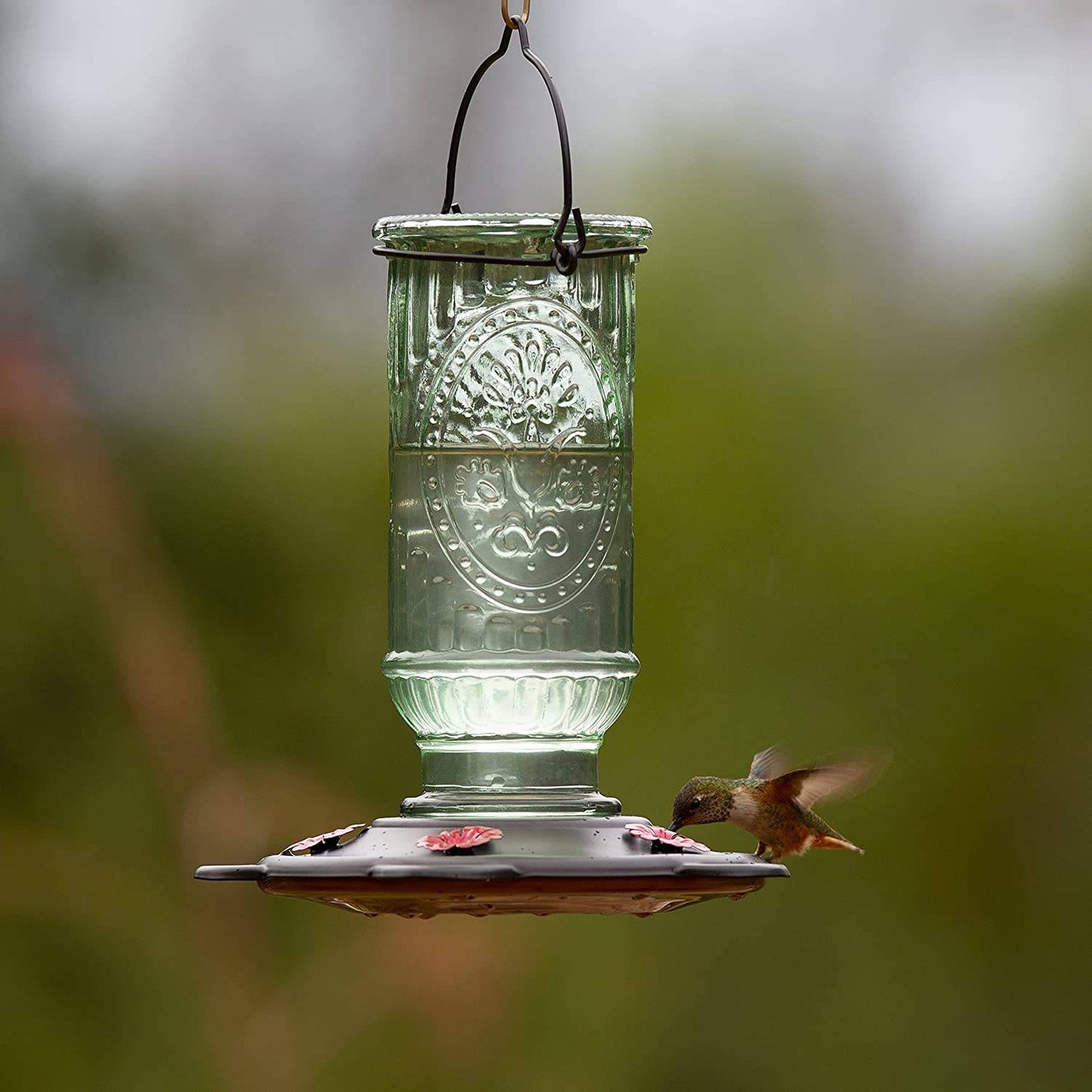 Clear vintage-inspired glass hummingbird feeder with etched decorative patterns, five feeding ports, and burnt penny plastic base, hanging outdoors in a garden setting.