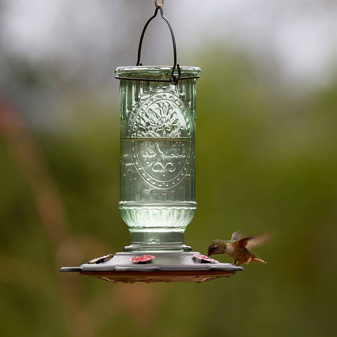 Clear vintage-inspired glass hummingbird feeder with etched decorative patterns, five feeding ports, and burnt penny plastic base, hanging outdoors in a garden setting.