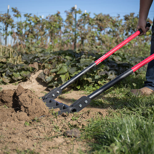 Handcrafted steel broadfork with five sharp angled tines and red handles being used to loosen soil in a garden, ideal for Farm, Garden & Tool and Digging and Cultivating collections.