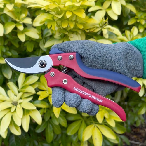 Gloved hand gripping red and blue bypass pruning shears cutting green leafy shrub, durable tool ideal for Farm, Garden & Tool, Garden Accessories, Lawncare, Best Sellers, and Promo Eligible collections.