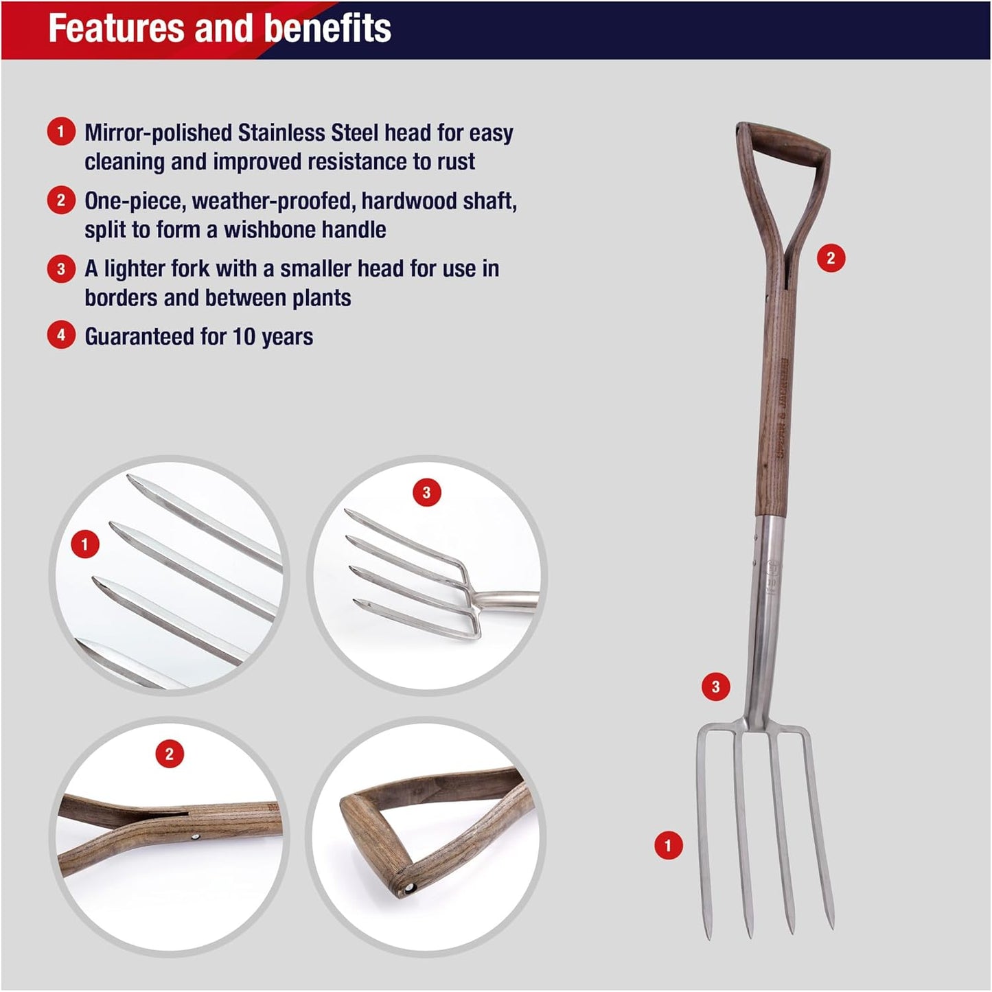 Border fork with a mirror-polished stainless steel head and weatherproof hardwood shaft split into a classic wishbone handle, designed for lighter digging and cultivation in small garden spaces, featured in Farm, Garden & Tool, Digging and Cultivating, Garden Accessories, Lawncare, Best Sellers, and Promo Eligible collections.