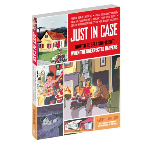 Book cover of "Just in Case" featuring retro illustrations of family emergency preparedness activities during a power outage, part of Toys, Books & Games, Heritage and Lifestyle Books, and Best Sellers collections.