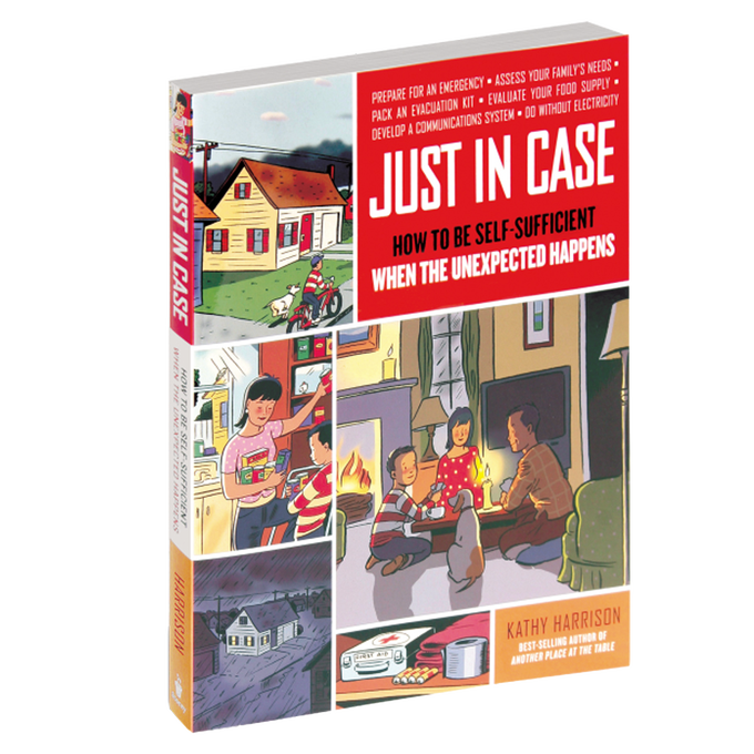Book cover of "Just in Case" featuring retro illustrations of family emergency preparedness activities during a power outage, part of Toys, Books & Games, Heritage and Lifestyle Books, and Best Sellers collections.