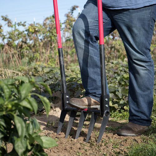 Handcrafted steel broadfork with five angled tines and red handles being used to loosen soil in a garden, part of Farm, Garden & Tool and Digging and Cultivating collections.