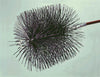 Handcrafted round chimney brush with dense wire bristles designed to fit snugly in stovepipes, ideal for hearth maintenance and included in best sellers and hearth accessories collections.