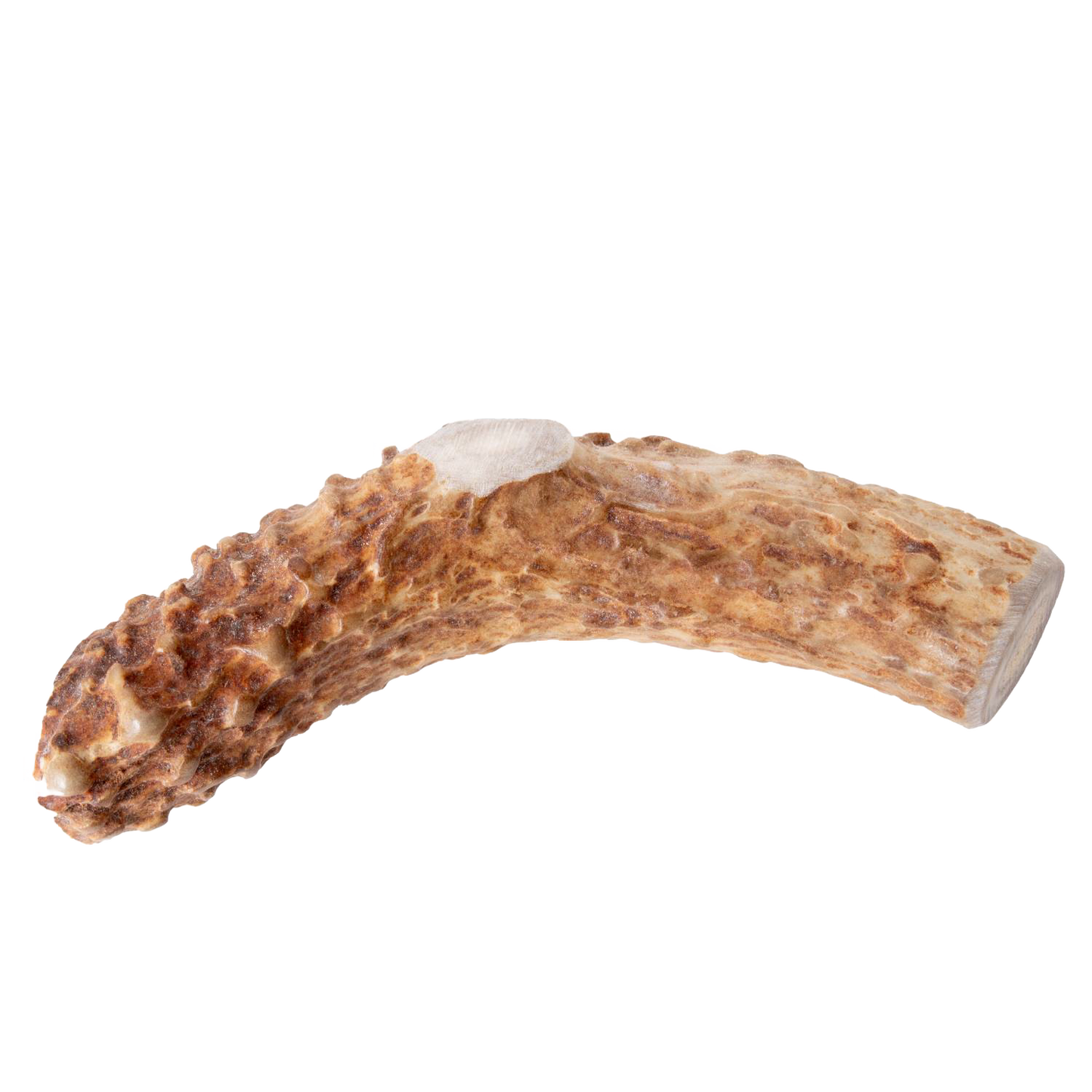 Natural deer antler dog chew featuring a handcrafted, durable texture, providing a long-lasting, additive-free treat, ideal for Pet Supplies, Home & Decor, USA Made, and Best Sellers collections.