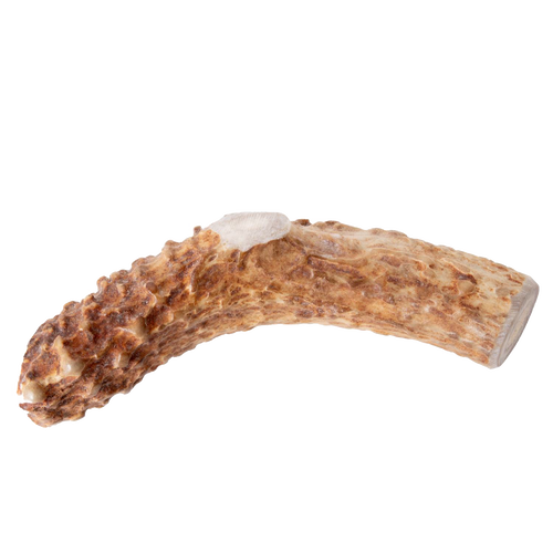 Natural deer antler dog chew featuring a handcrafted, durable texture, providing a long-lasting, additive-free treat, ideal for Pet Supplies, Home & Decor, USA Made, and Best Sellers collections.