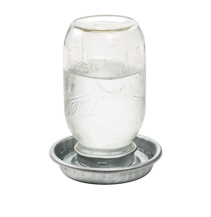 Handcrafted jar waterer with galvanized metal base and clear quart glass jar filled with water, designed for flock hydration in Farm, Garden & Tool and Animal Care collections.