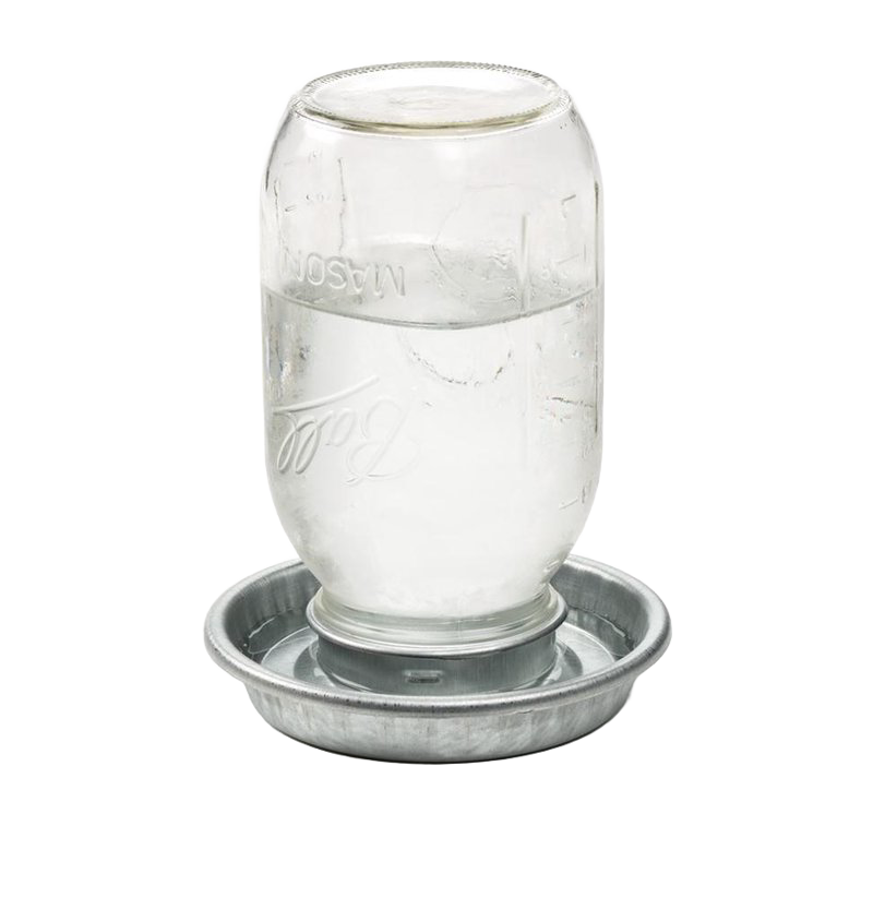 Handcrafted jar waterer with galvanized metal base and clear quart glass jar filled with water, designed for flock hydration in Farm, Garden & Tool and Animal Care collections.