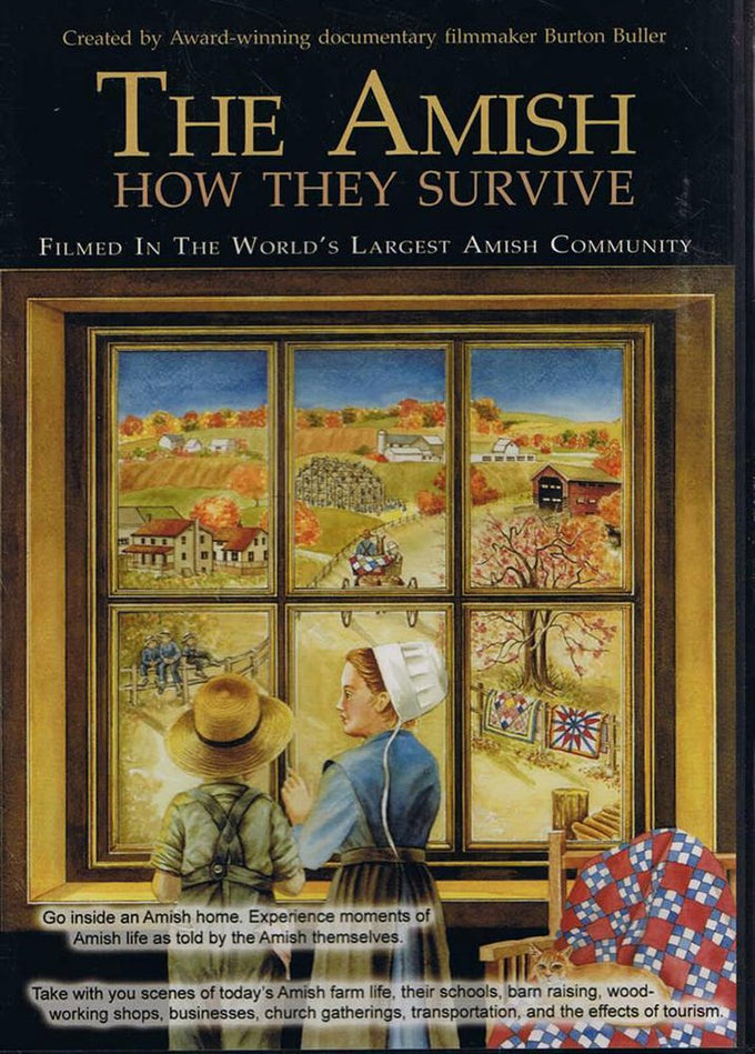 DVD cover for a documentary exploring Amish life, featuring artwork of two children looking through a window at a colorful rural farm landscape, part of Toys, Books & Games and Heritage and Lifestyle Books collections.