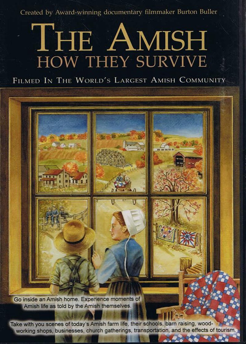 DVD cover for a documentary exploring Amish life, featuring artwork of two children looking through a window at a colorful rural farm landscape, part of Toys, Books & Games and Heritage and Lifestyle Books collections.