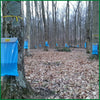 Rows of trees in a forest with blue sap bags attached for maple sugaring, showcasing a handcrafted, durable sap bag holder, featured in Farm, Garden & Tool and USA Made collections.