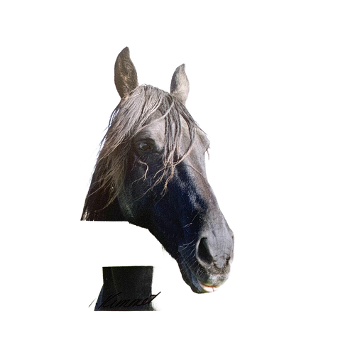 Handcrafted magnet featuring a close-up of a black horse’s head with flowing mane, paired with an uplifting verse, ideal for Home & Decor, Best Sellers, and Promo Eligible collections.