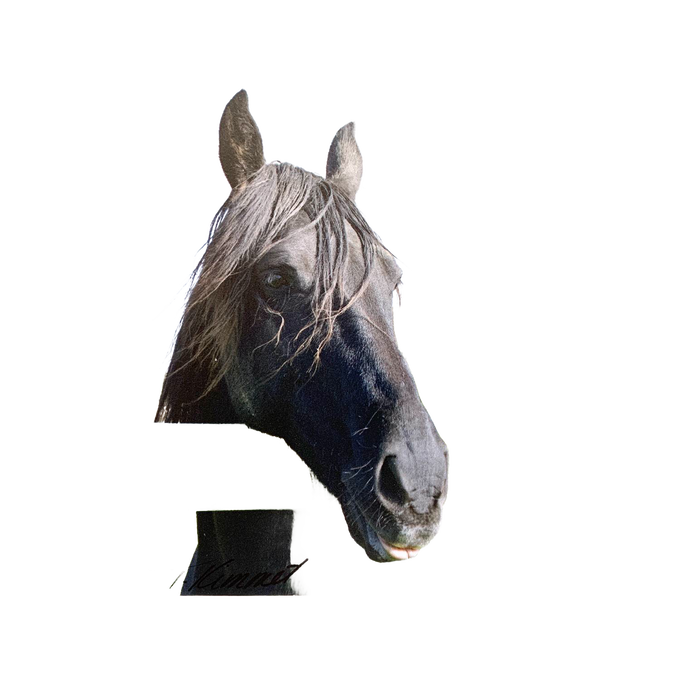 Handcrafted magnet featuring a close-up of a black horse’s head with flowing mane, paired with an uplifting verse, ideal for Home & Decor, Best Sellers, and Promo Eligible collections.