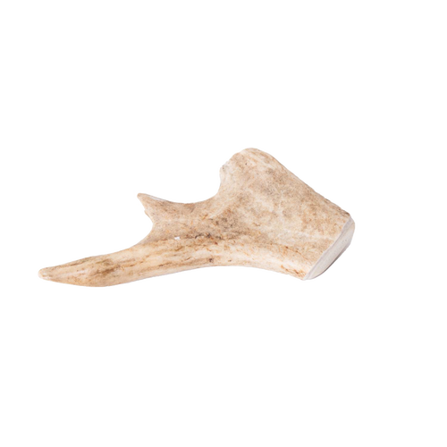 Handcrafted natural deer antler dog chew showcasing a smooth, durable texture, ideal for pets, featured in Home & Decor, Pet Supplies, USA Made, Best Sellers, and Promo Eligible collections.
